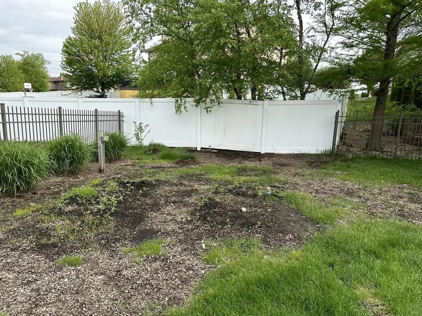 Before: Frankfort Backyard Firepit & Paver Patio by Rodak Landscaping