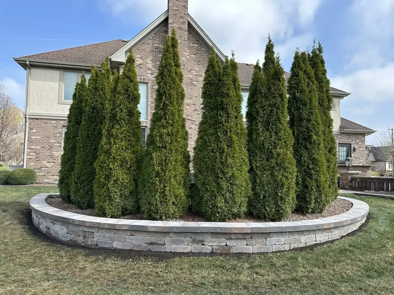 Curving Retaining Wall with Arborvitae Hedge, retaining walls in the southwest suburbs by Rodak Landscaping