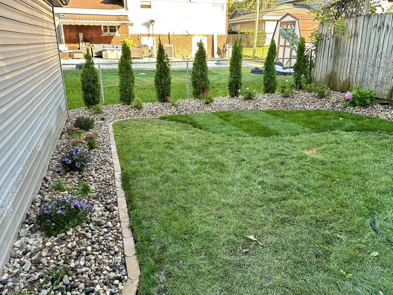 After: Lemont Backyard Sod & Privacy Hedge Installation by Rodak Landscaping