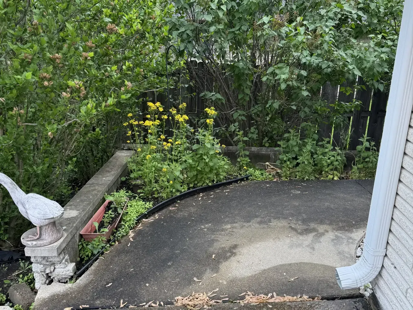 Paver Walkways in Lockport before Rodak Landscaping started: Lockport Side Walkway & Retaining Wall Rebuild