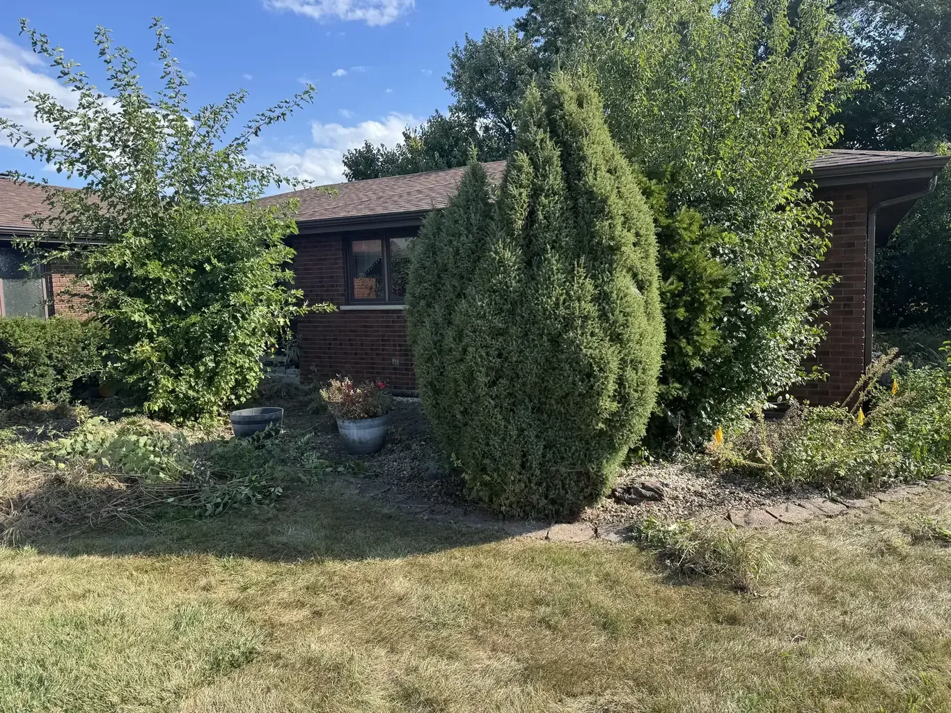 Before: Orland Park Front Yard Cleanup & Rebuild by Rodak Landscaping