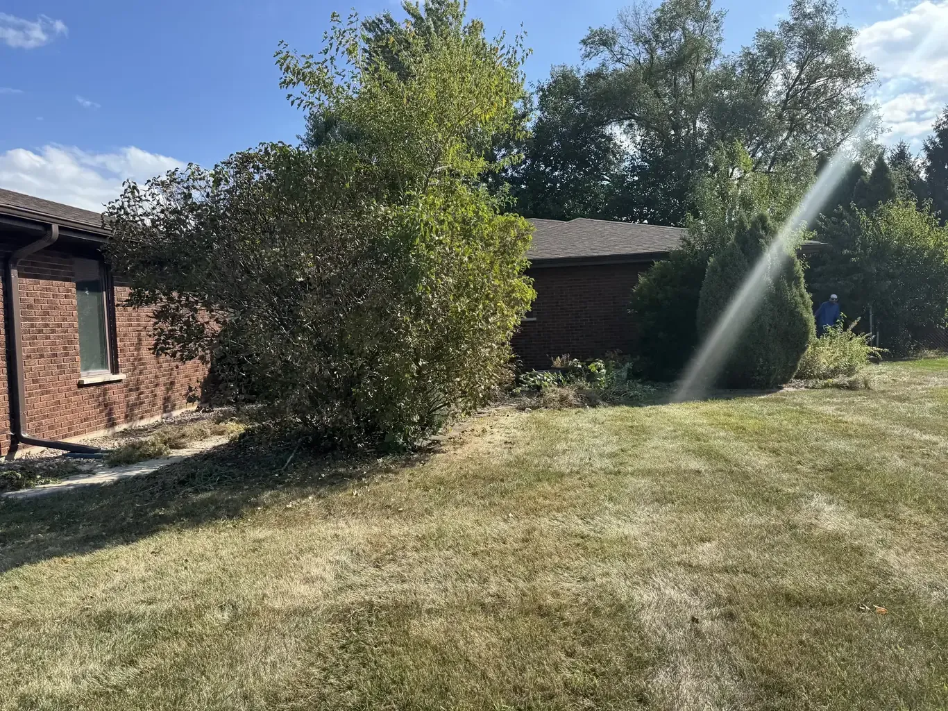 Landscape Design in Orland Park before Rodak Landscaping started: Orland Park Front Yard Cleanup & Rebuild