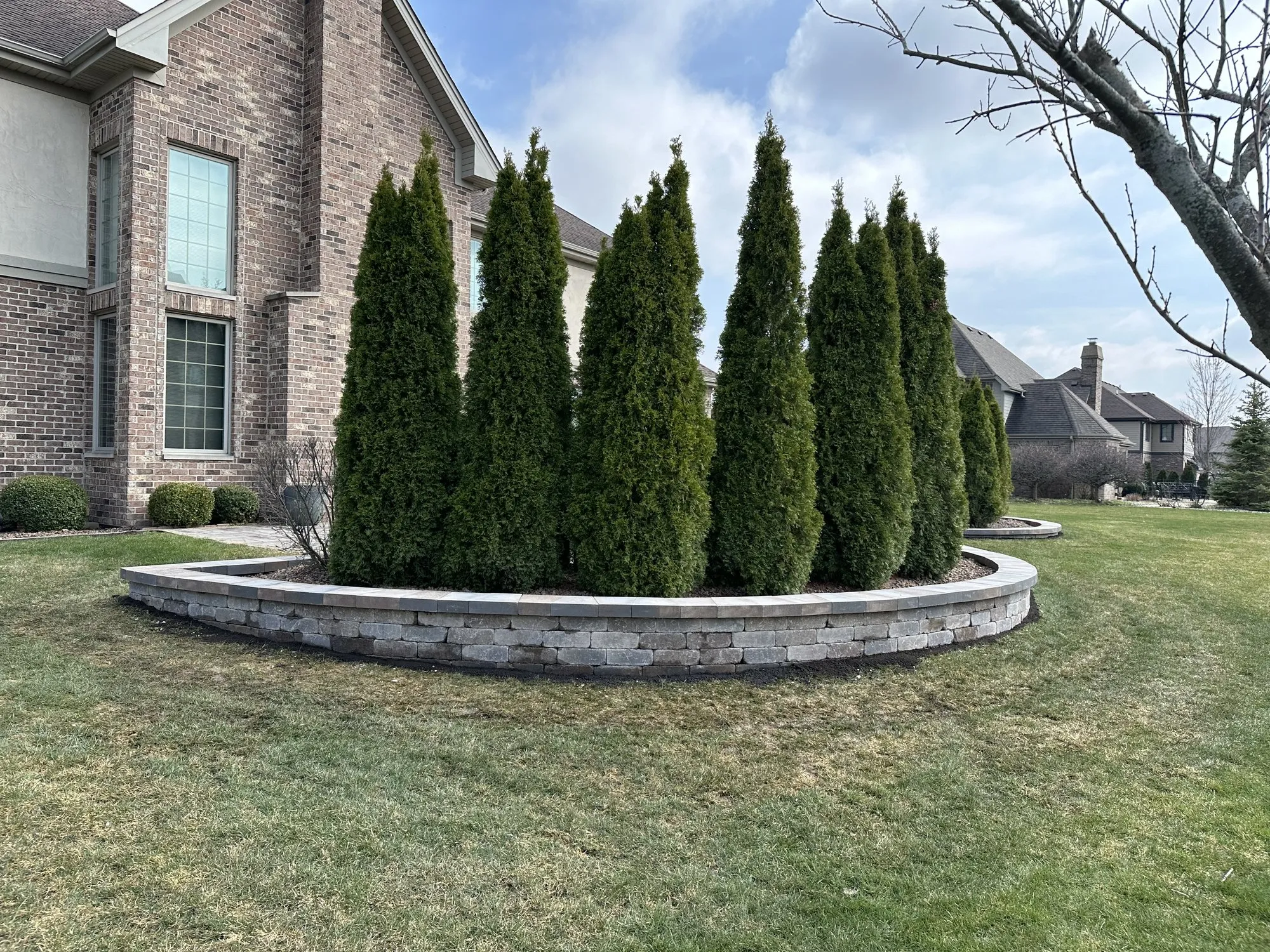 Curved stacked-stone retaining wall with arborvitae plantings by Rodak Landscaping