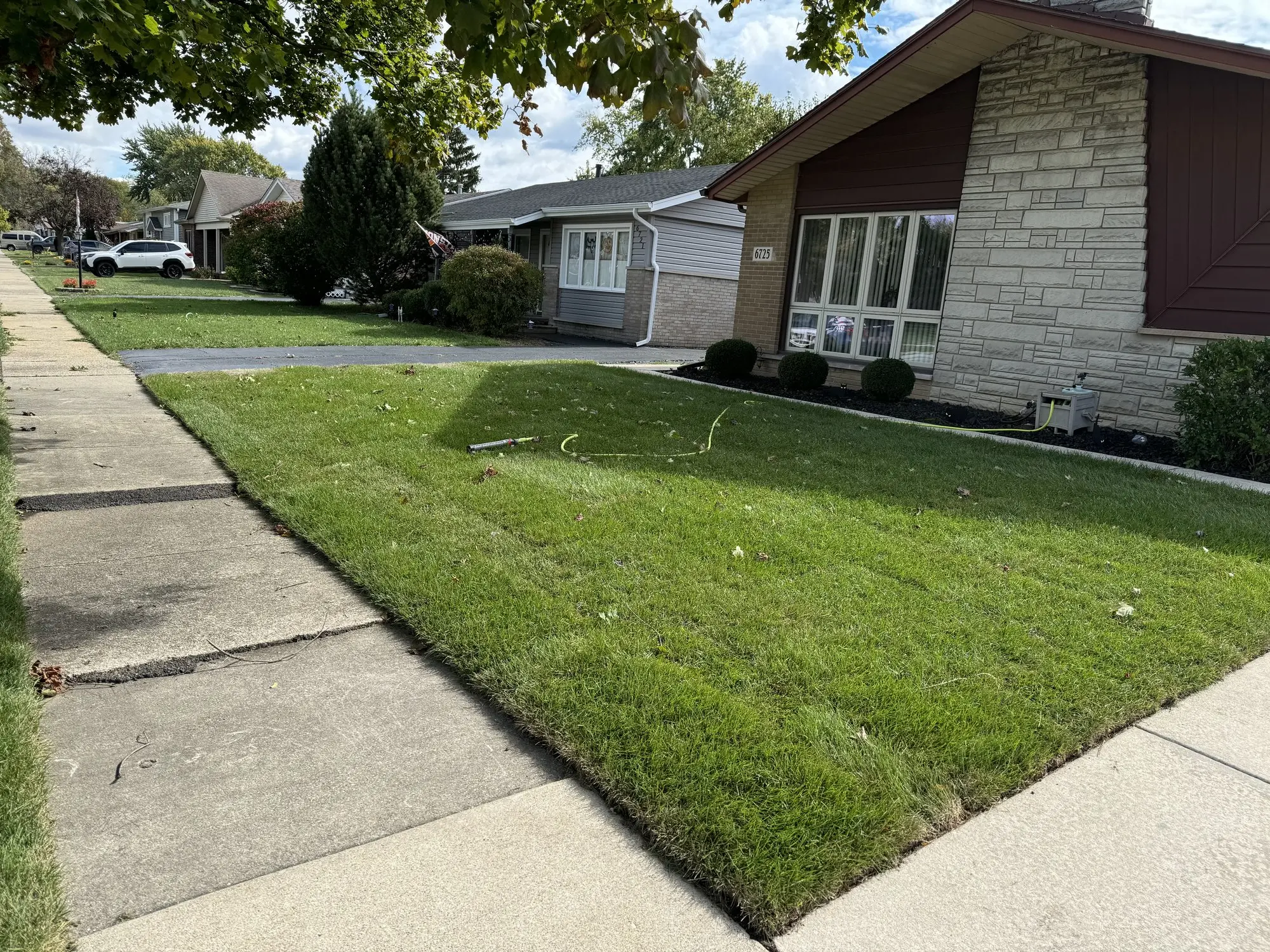 Rodak Landscaping sod installation project