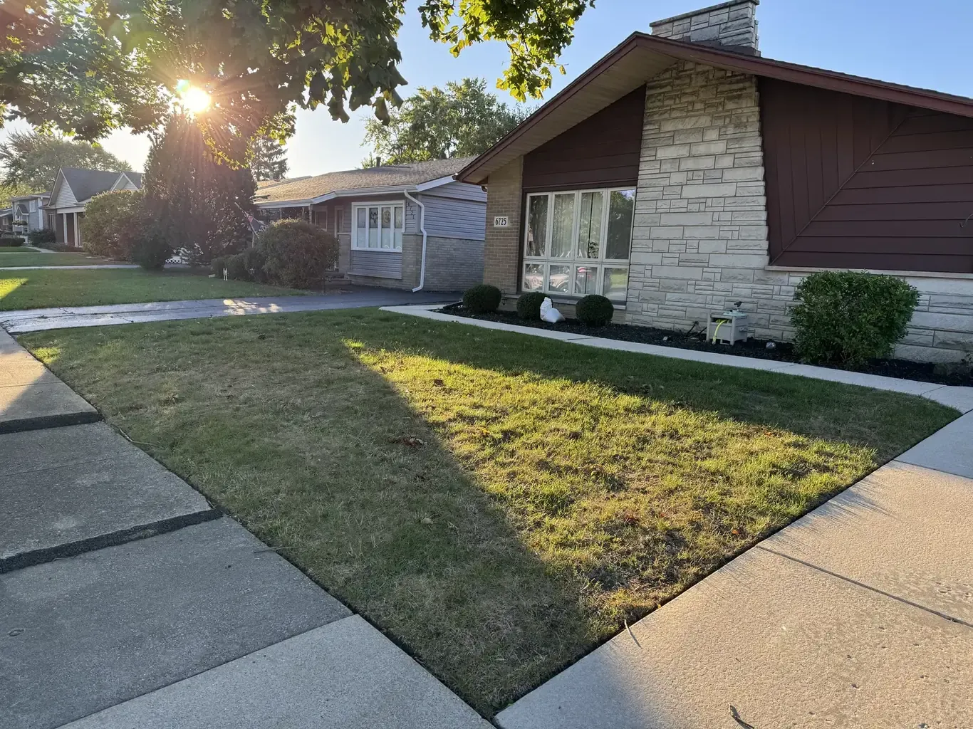 Sod Installation & Grading in the southwest suburbs before Rodak Landscaping started: Front Yard Sod Installation